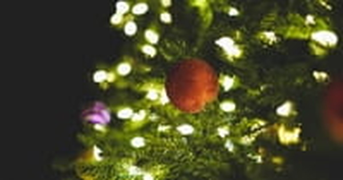The Origin of the Christmas Tree