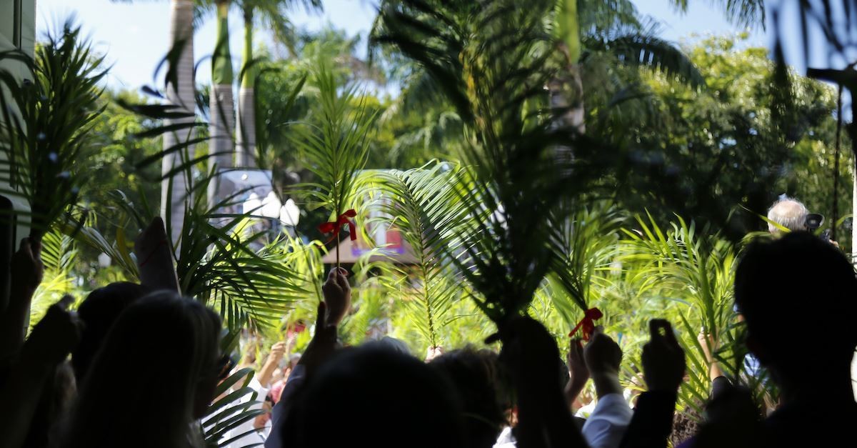 People waving palm branches on Palm Sunday outside