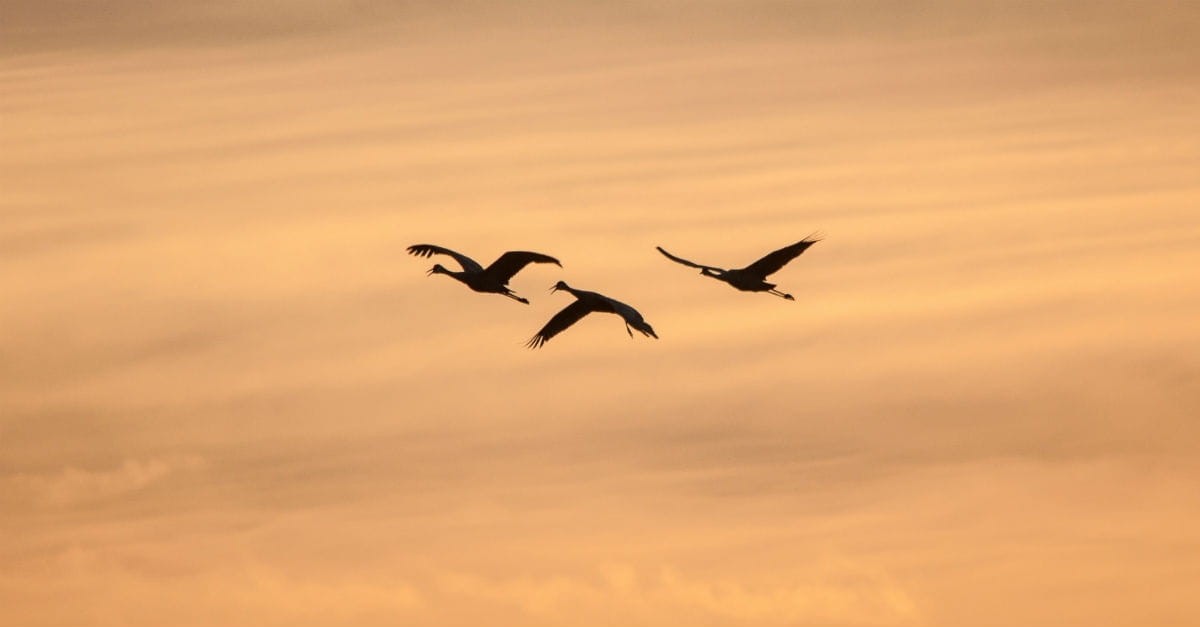 10. We see life through the vantage point of me, myself and I, yet God's view is sky-high - like a bird sees.