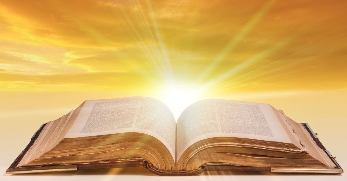 2. 10 Stories from the Bible that Rarely Make it into Sermons 