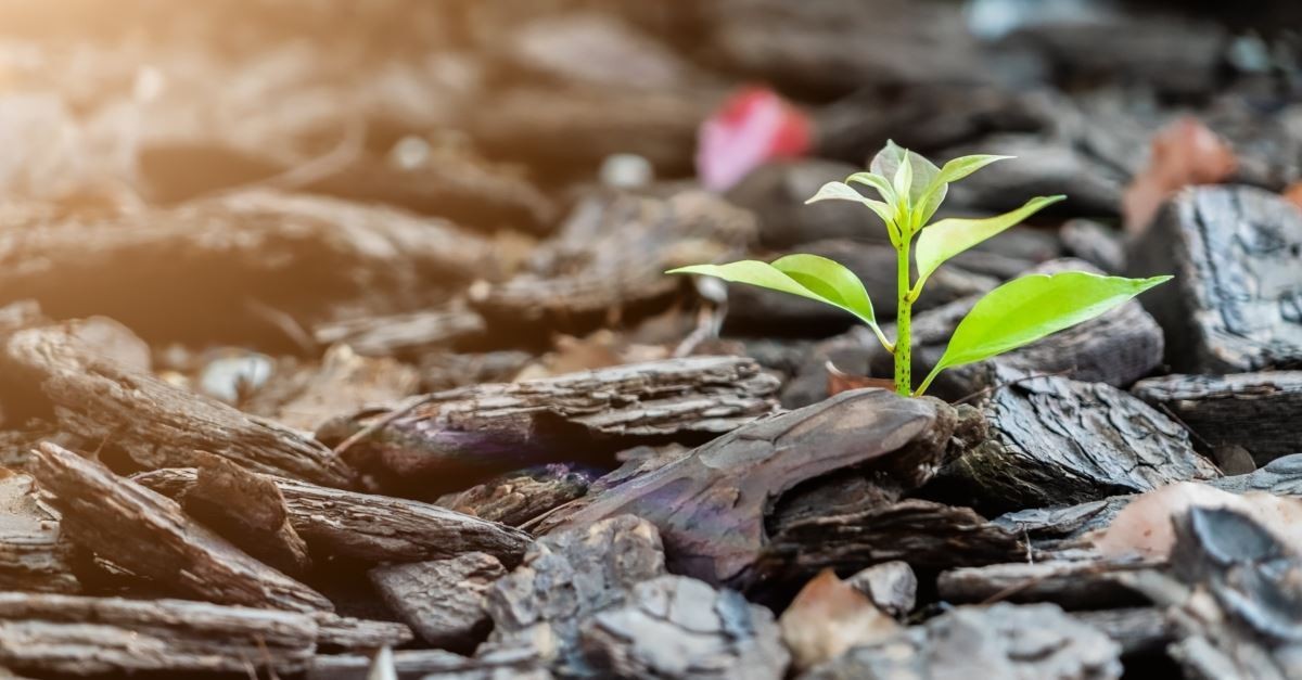 3. Suffering leads to hope.