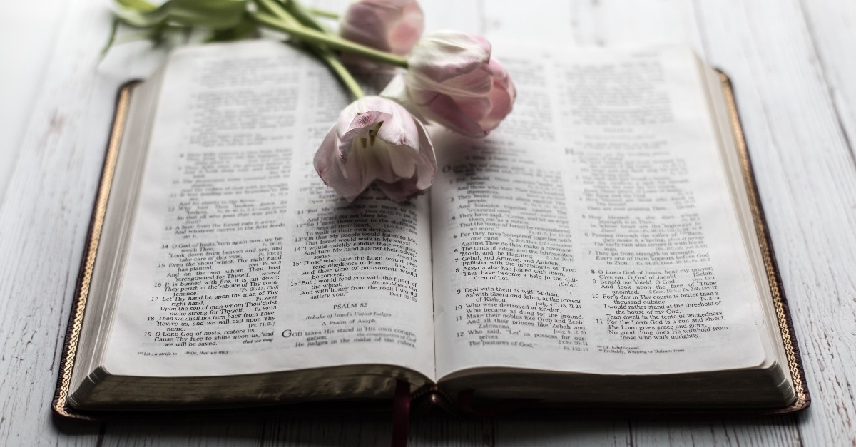 flowers resting on open bible