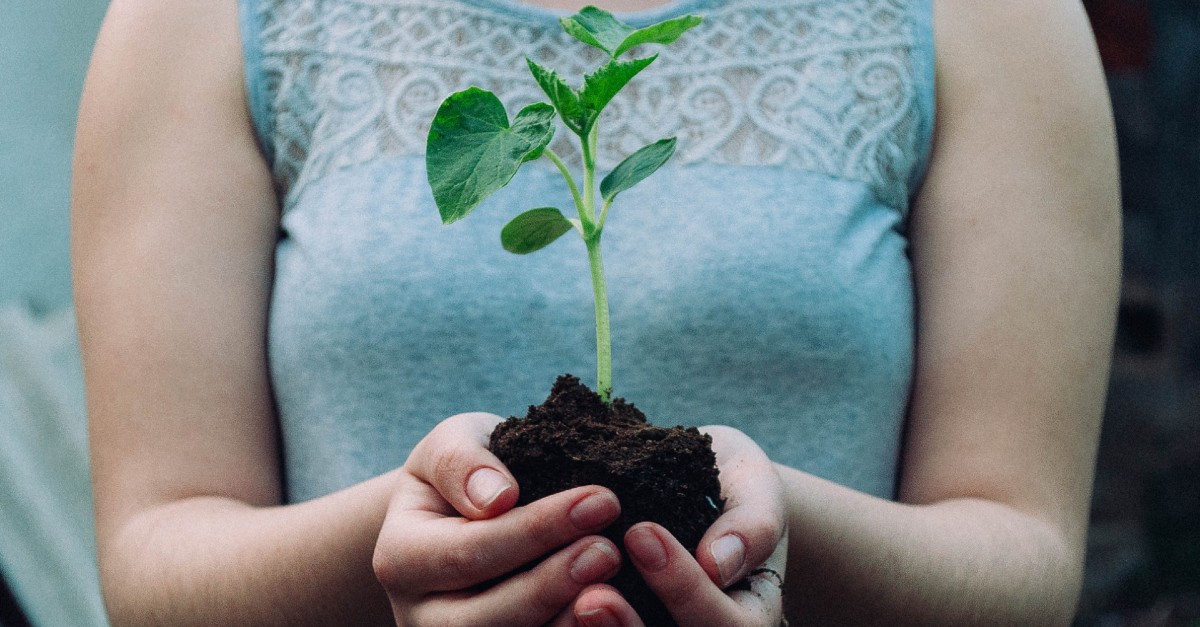 woman holding growing plant