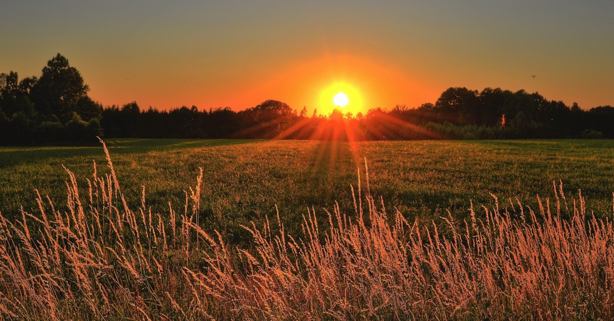 grass field during sunset sunrise tomorrow