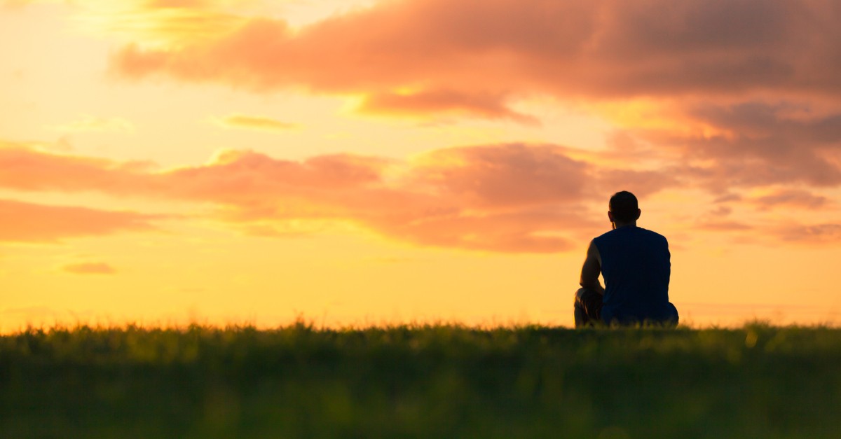 nature view of man at sunset on grass outdoors
