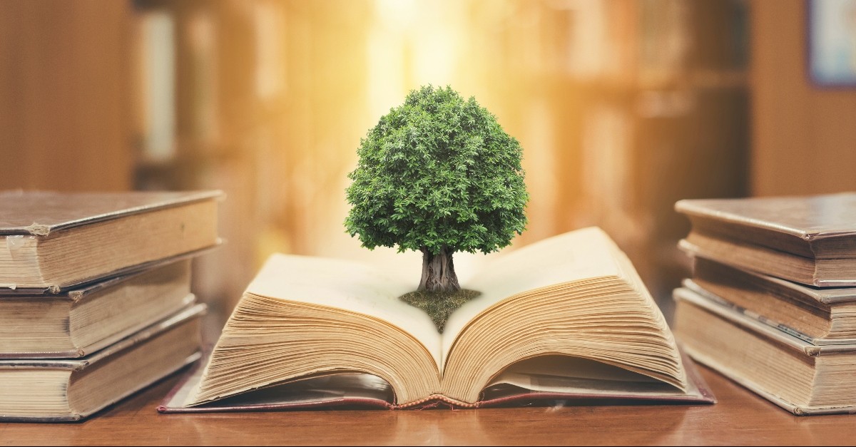 Tree sprouting from a book