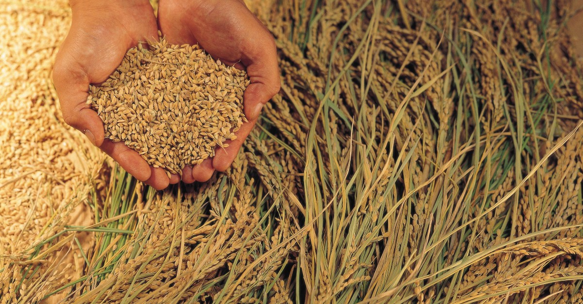 Harvest Bible Verses