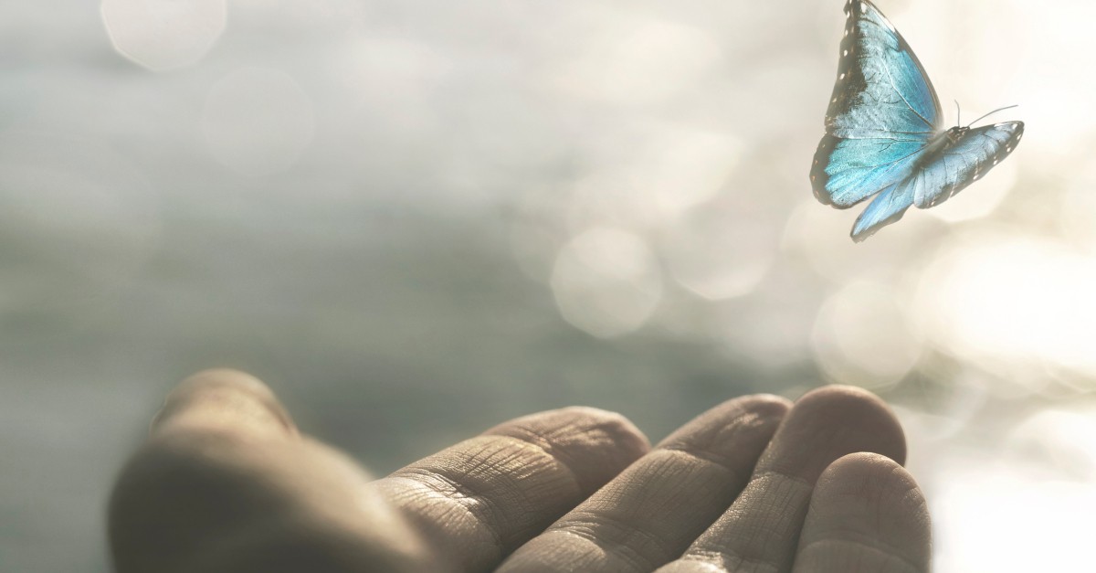 hand releasing butterfly renewal healing