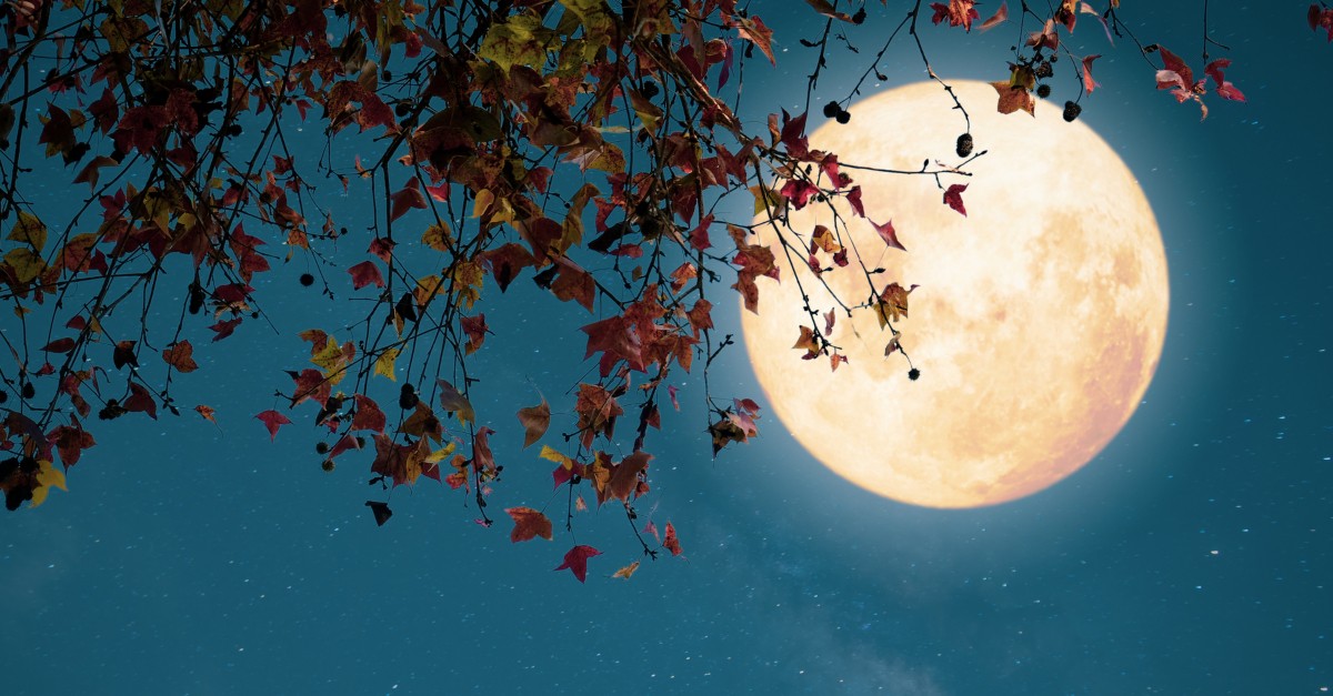 full moon on autumn night halloween reformation all saints day
