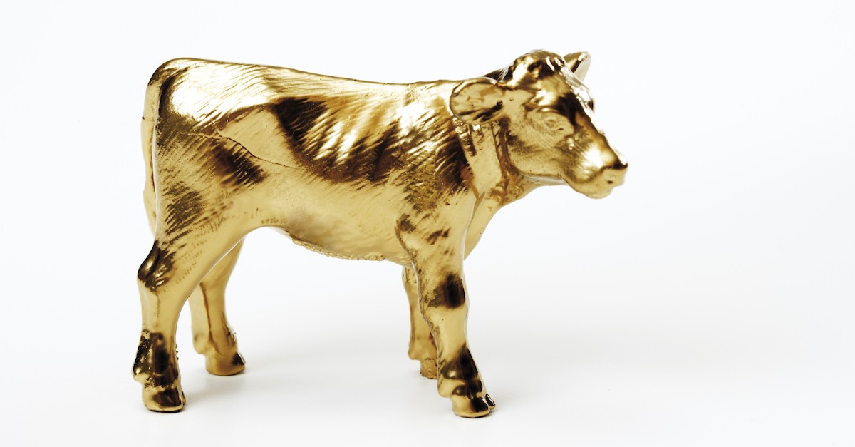 golden cow idol on white background, what is idolatry
