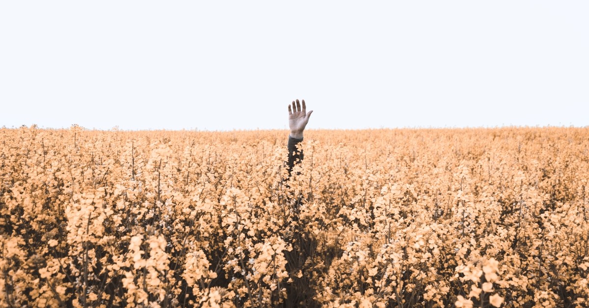hand of lost person raised in a field, prayers when lost in unknown