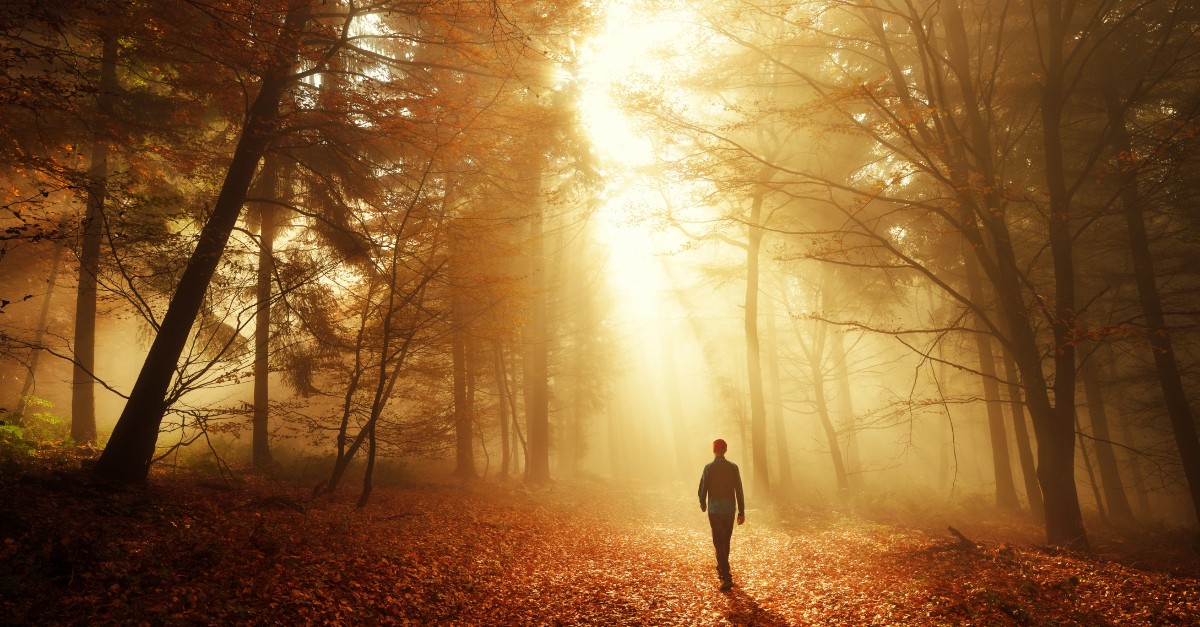 man walking toward sun in dark autumn forest