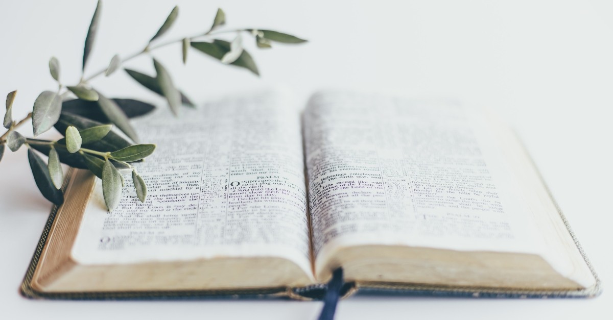 open bible with plant and leaves, verses for meditation and prayer