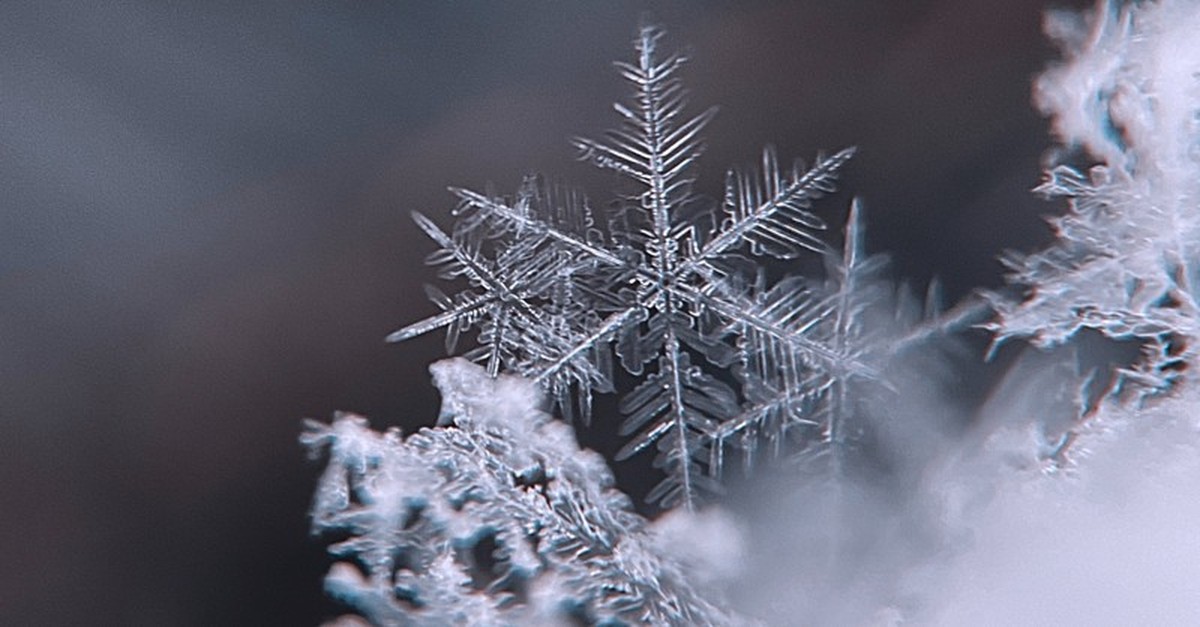 close up snowflake
