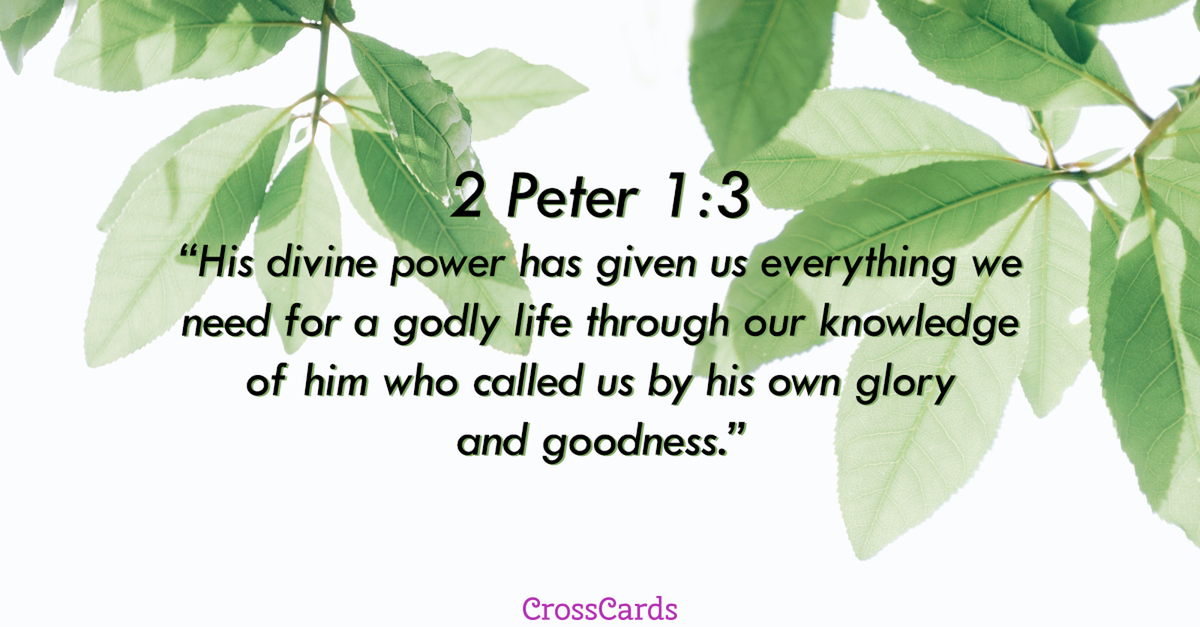 2 Peter 1 3 Inspirations