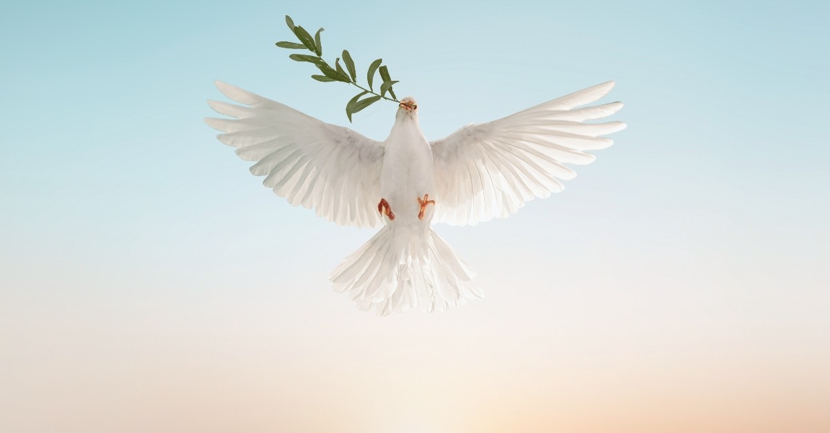 Symbol #2: The Dove