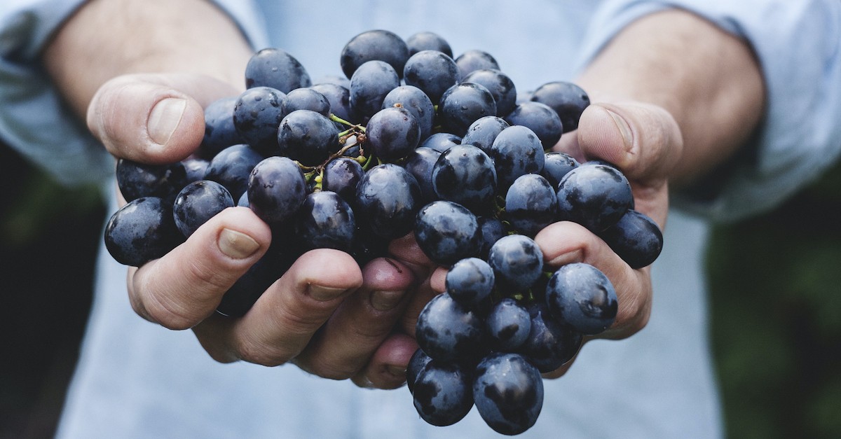 What Does New Wine In Old Wineskins Mean 