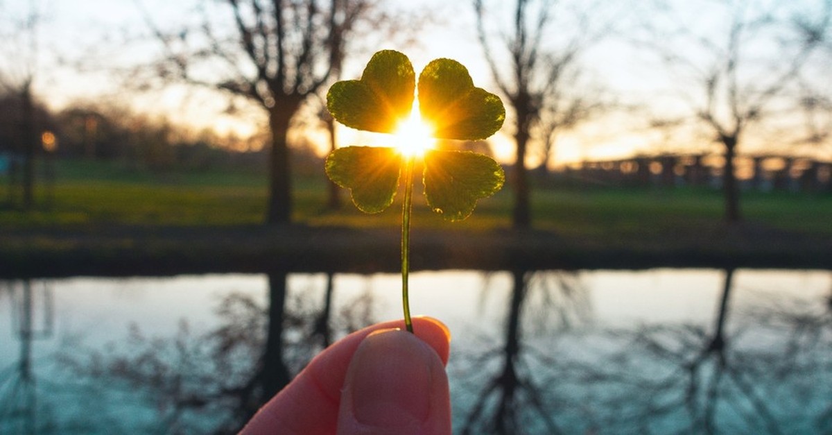 Four-leaf clover