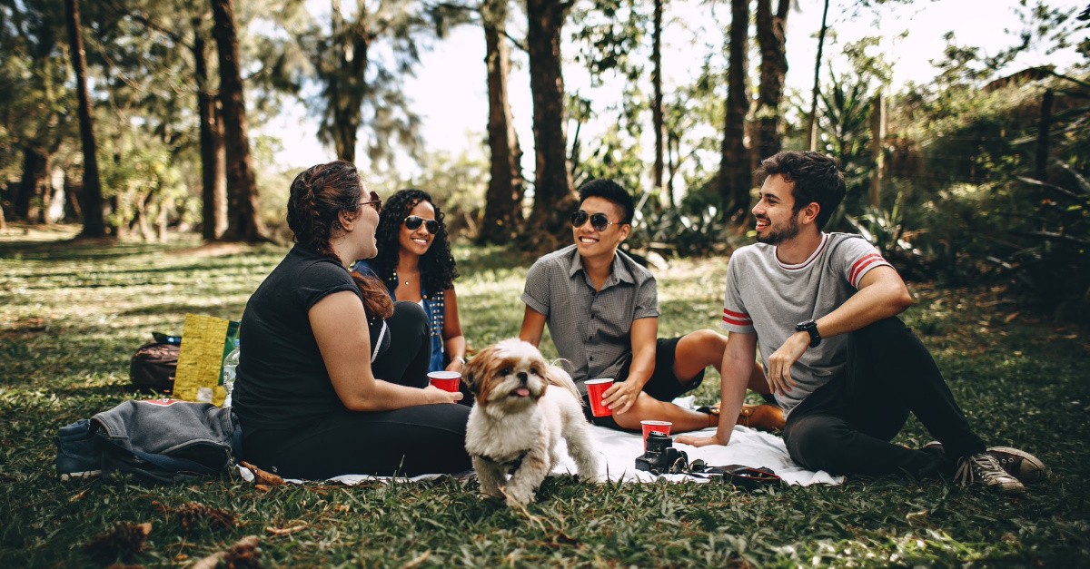 group of young people enjoying refreshments on a picnic blanket with a dog