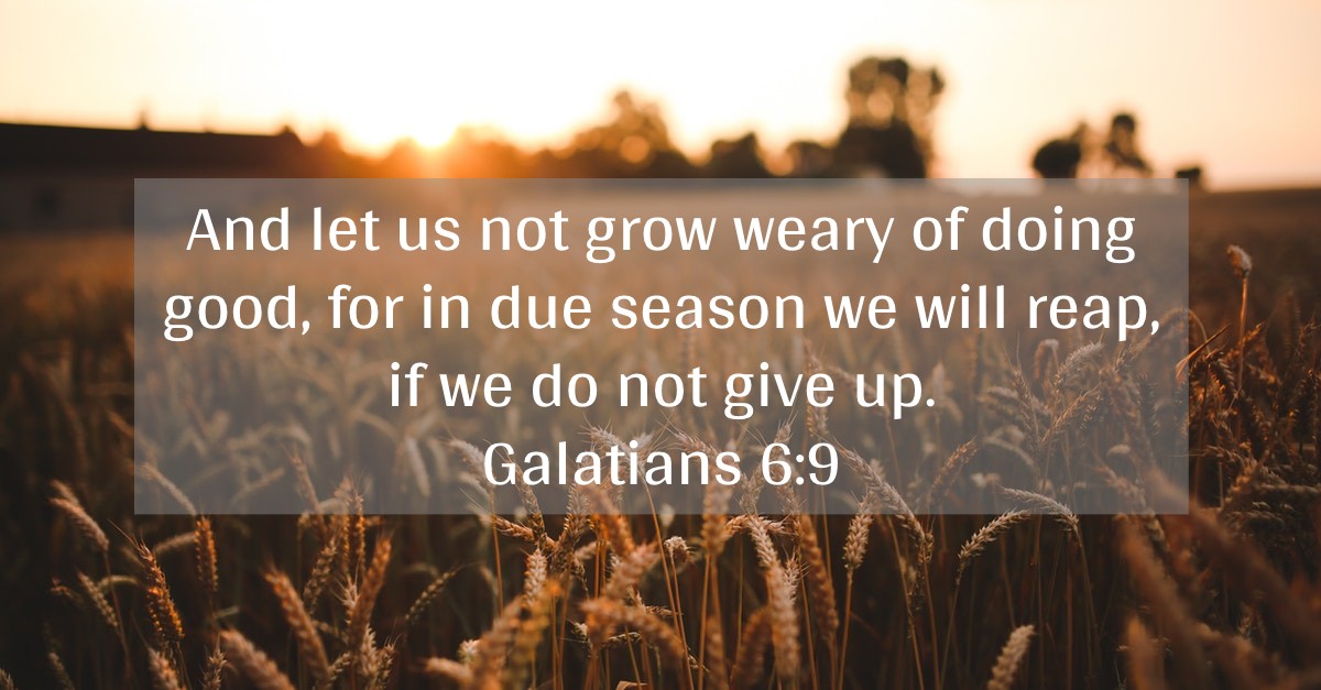 Galatians 6:9 written out over field of wheat background