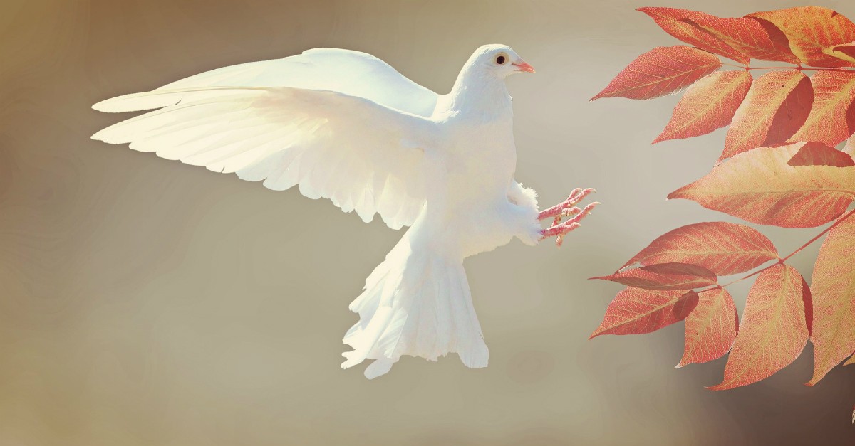 Doves meaning two What Does