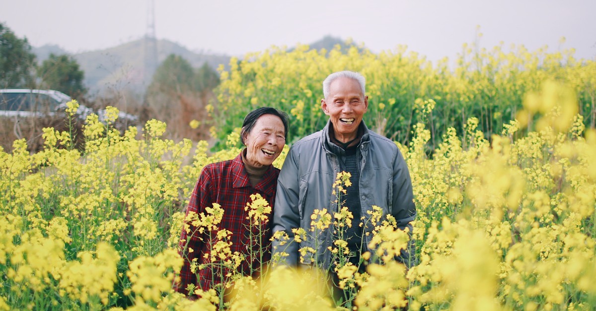 elderly couple walks through field of yellow wild flowers