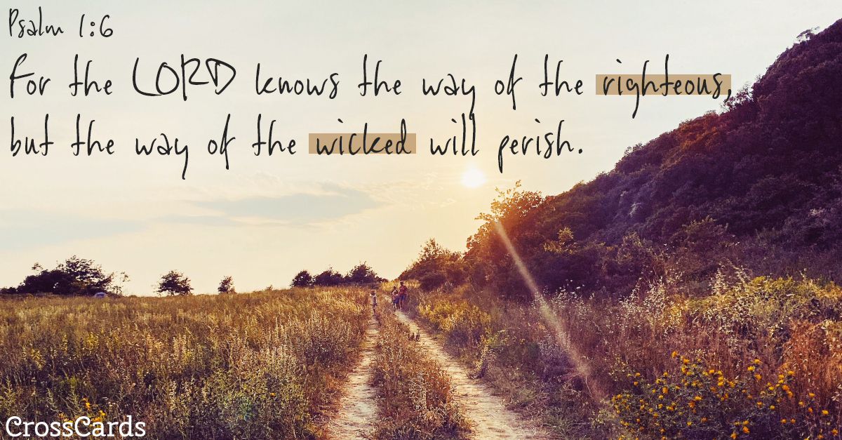 Psalm 1:6 - The Way of the Righteous