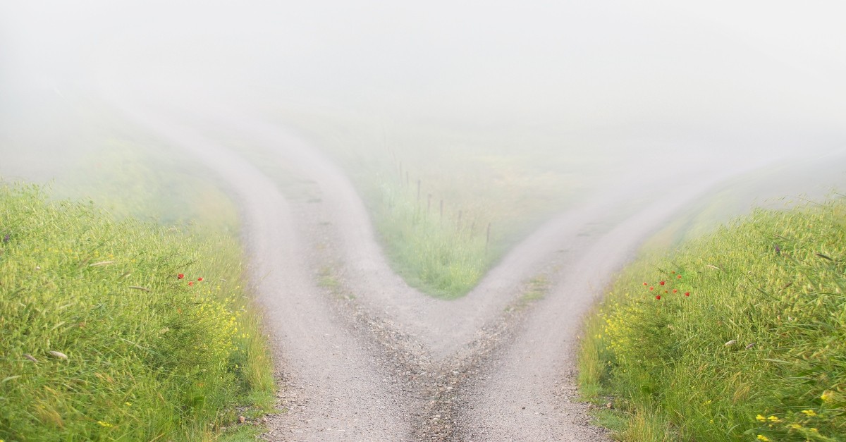 Two diverging roads