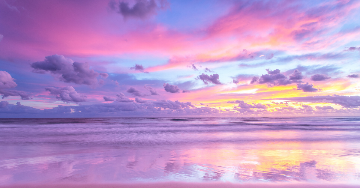 Tropical Sunrise; in the light of the morning.