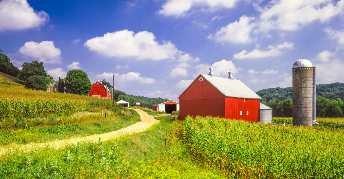 A dirt road winding through red farm buildings in the country.