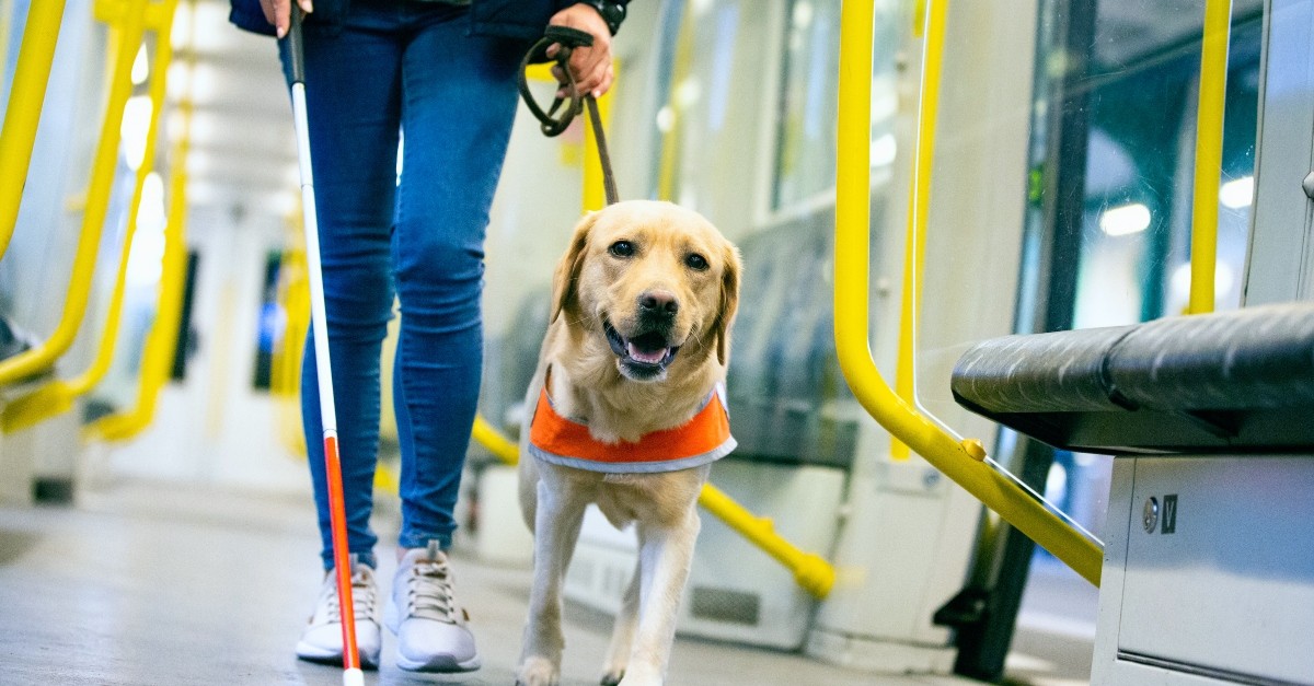 Woman with service guide dog on the subway