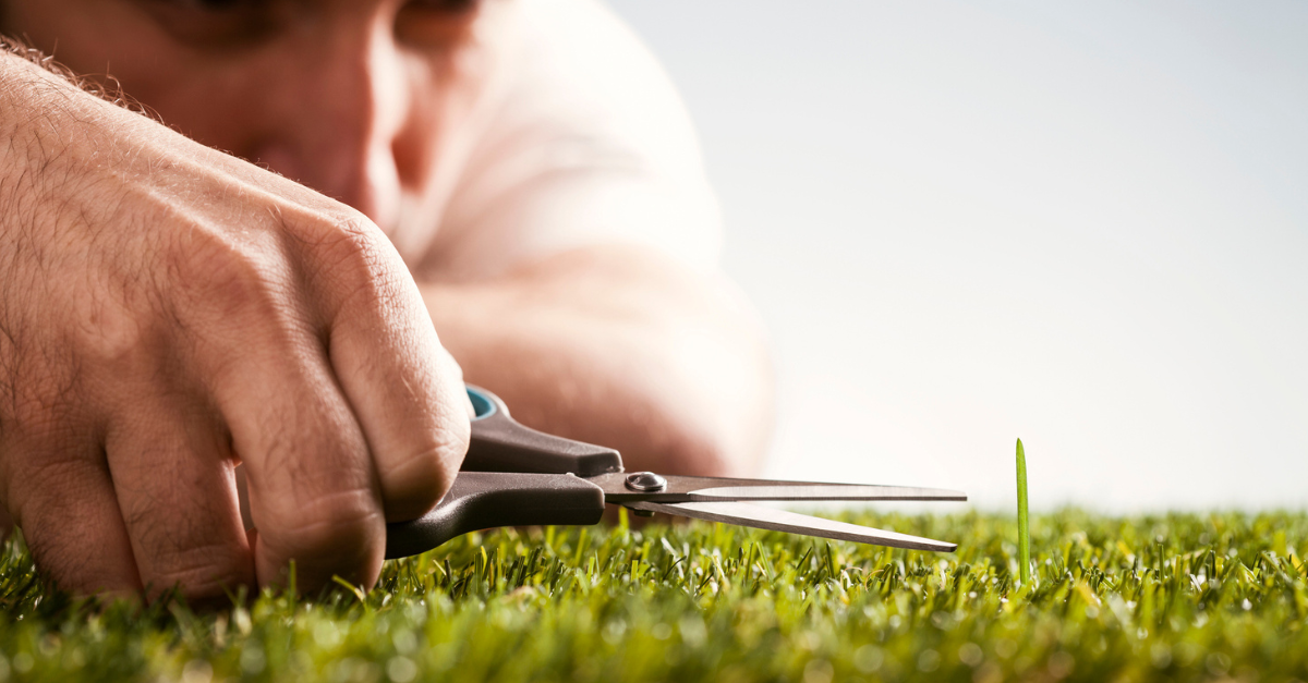 A perfectionist cutting the grass with scissors;