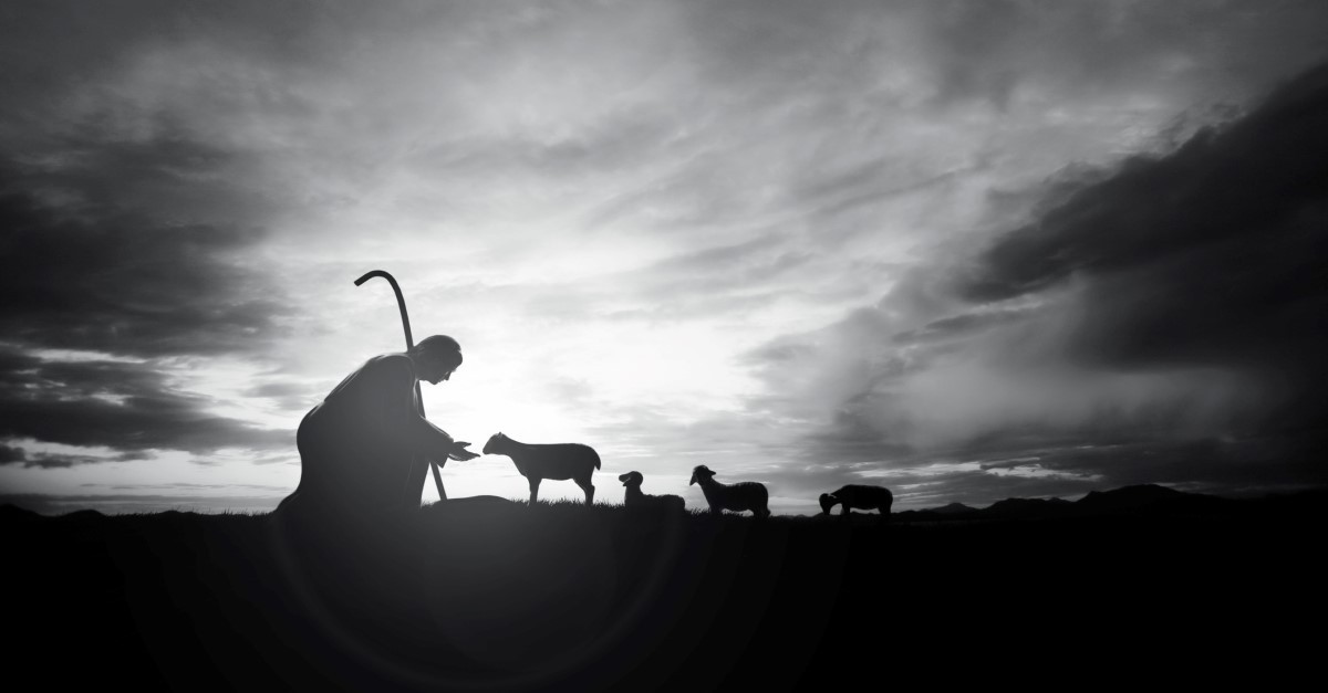jesus tending sheep to illustrate jehovah rohi