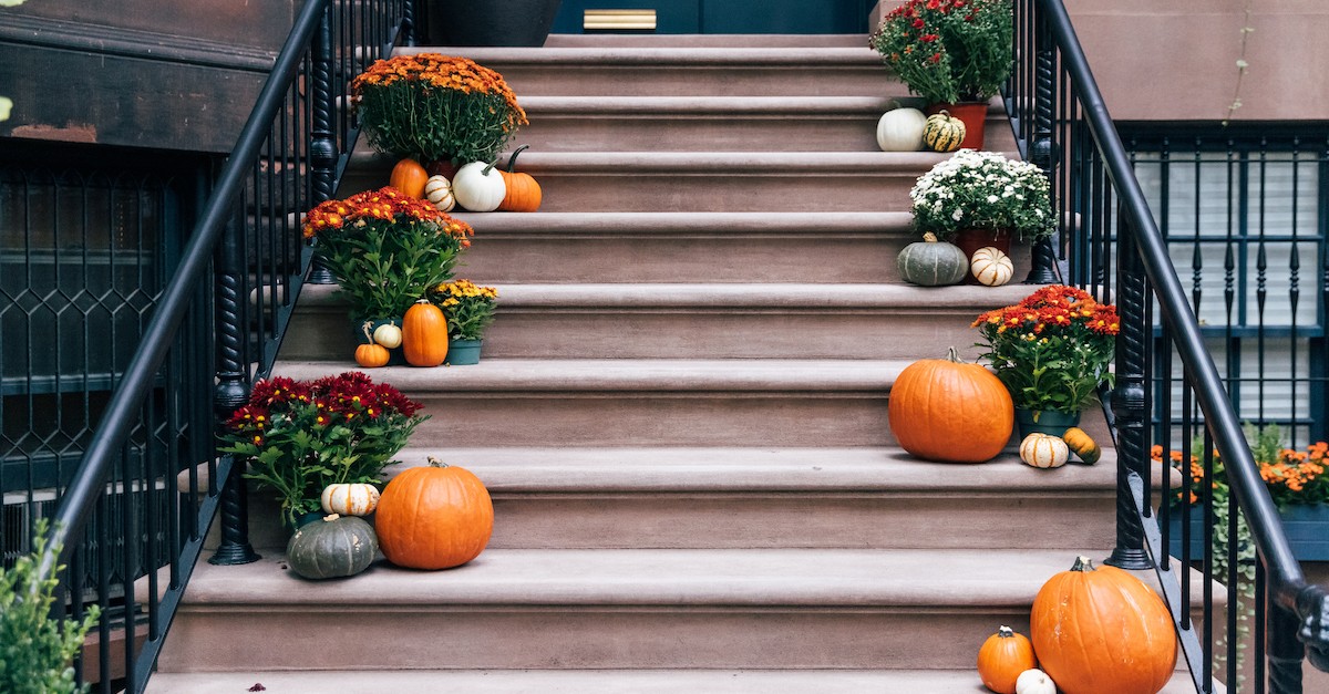 autumn porch with pumpkins on halloween