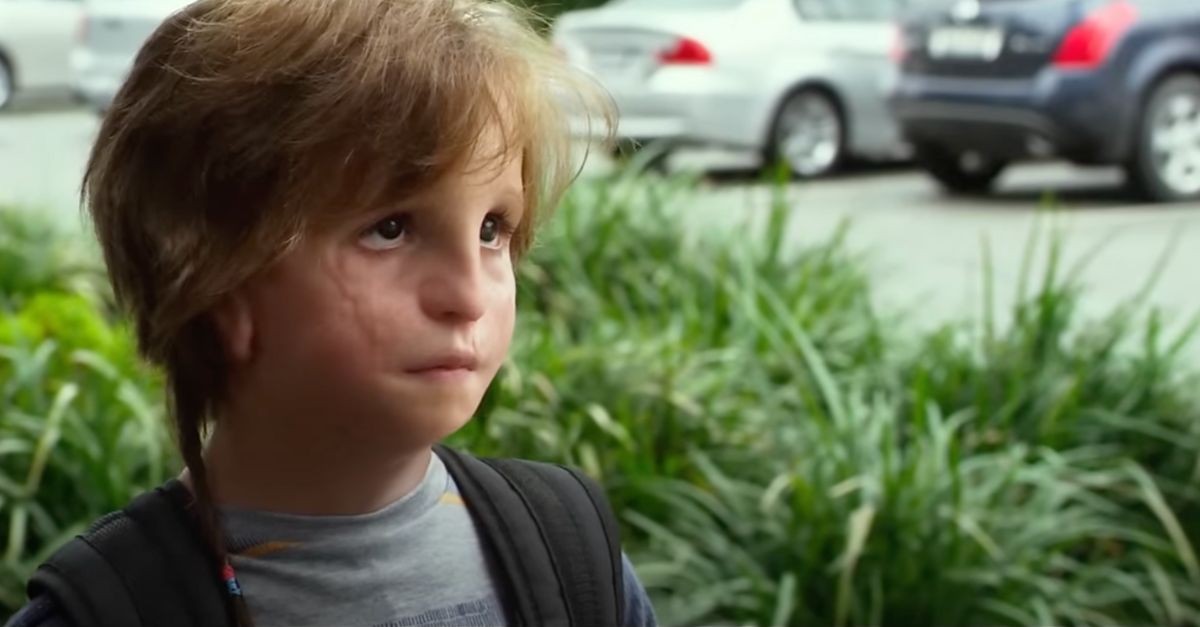 7. Wonder (Netflix)