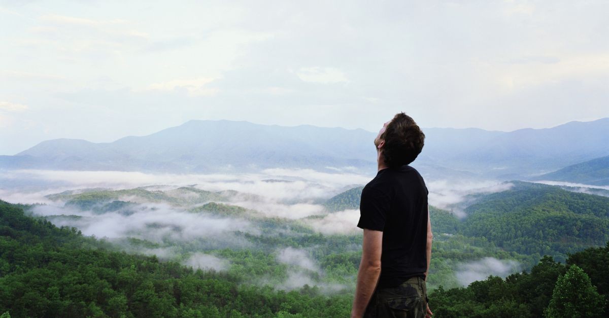 Man Looking Up at the Sky