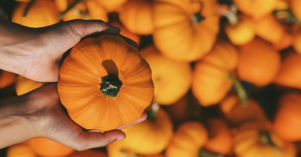 Person holding a pumpkin in a pumpkin patch; prayers for autumn