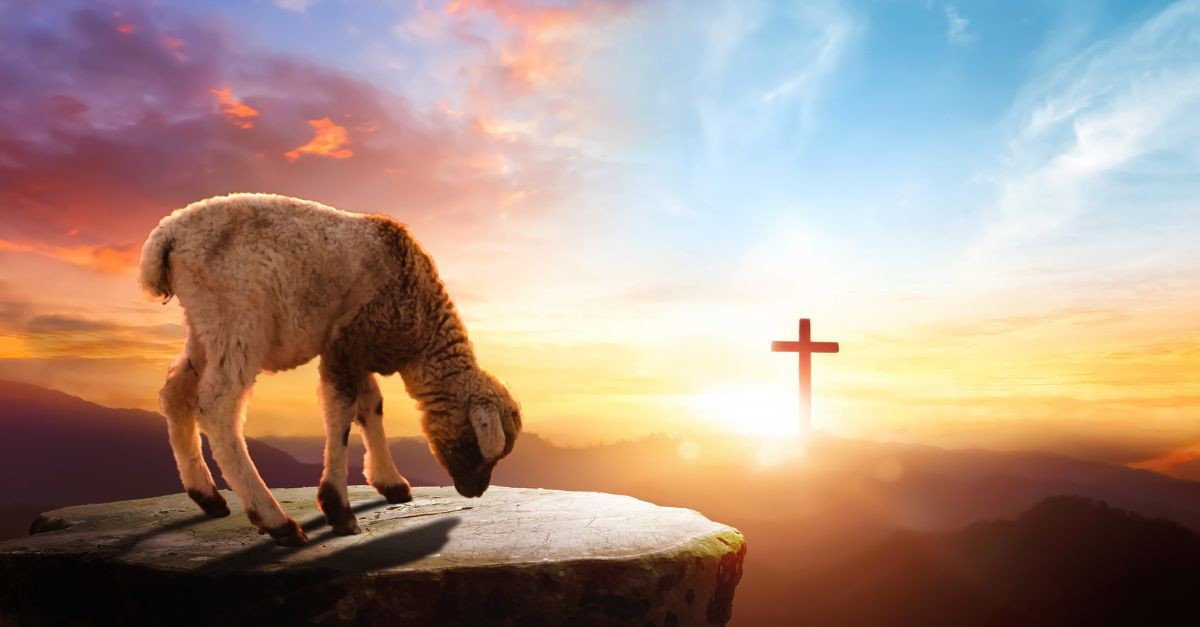 Sheep on a cliff with a cross in the distance; why did God choose the shepherds to hear about Jesus' birth first?