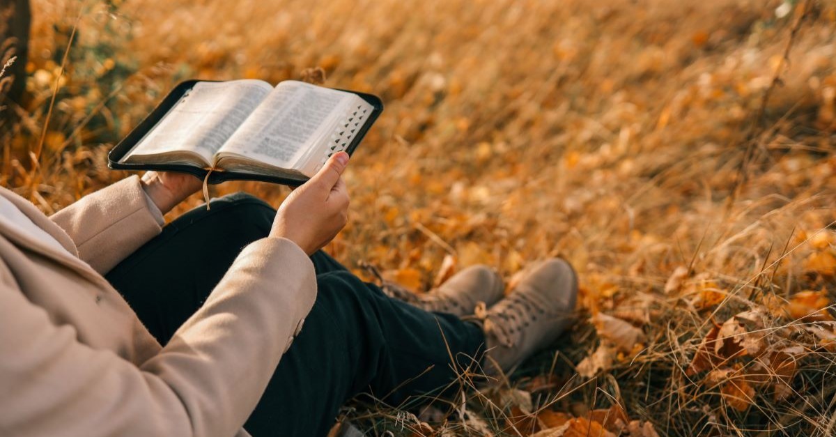 fall autumn leaves outside bible reading scripture Thanksgiving