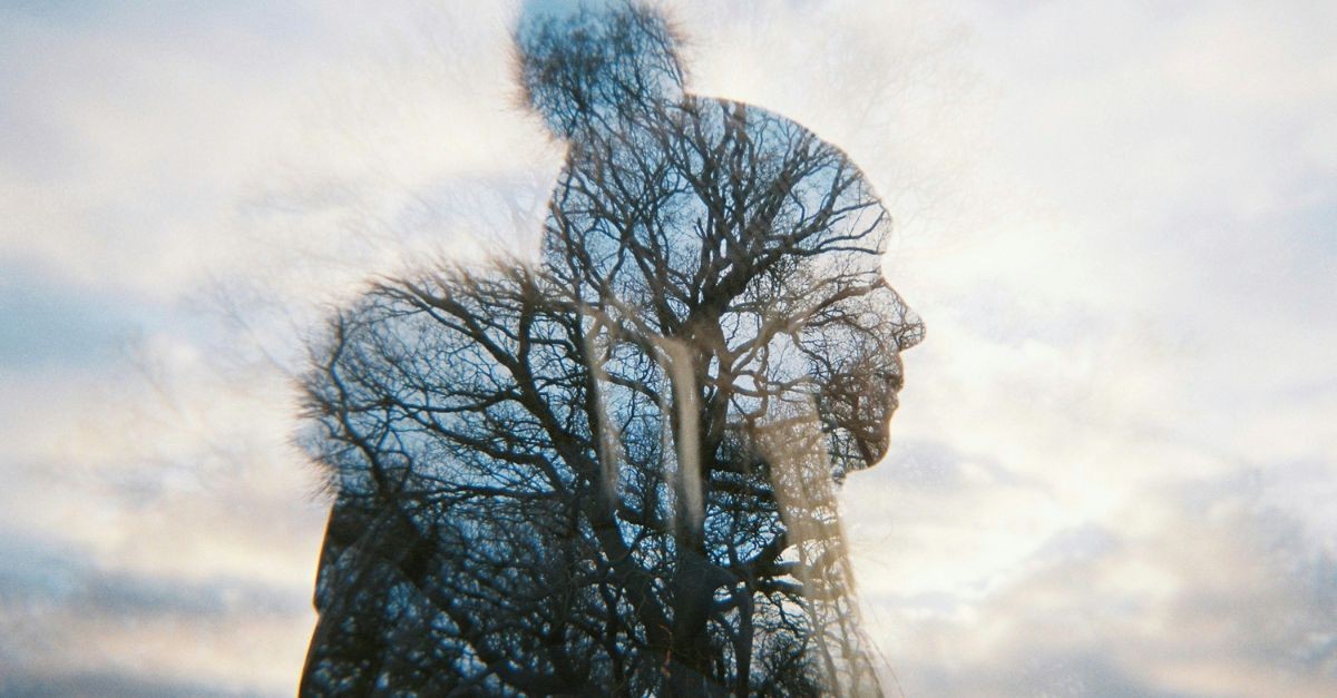 Woman's Shadow against a Winter Sky