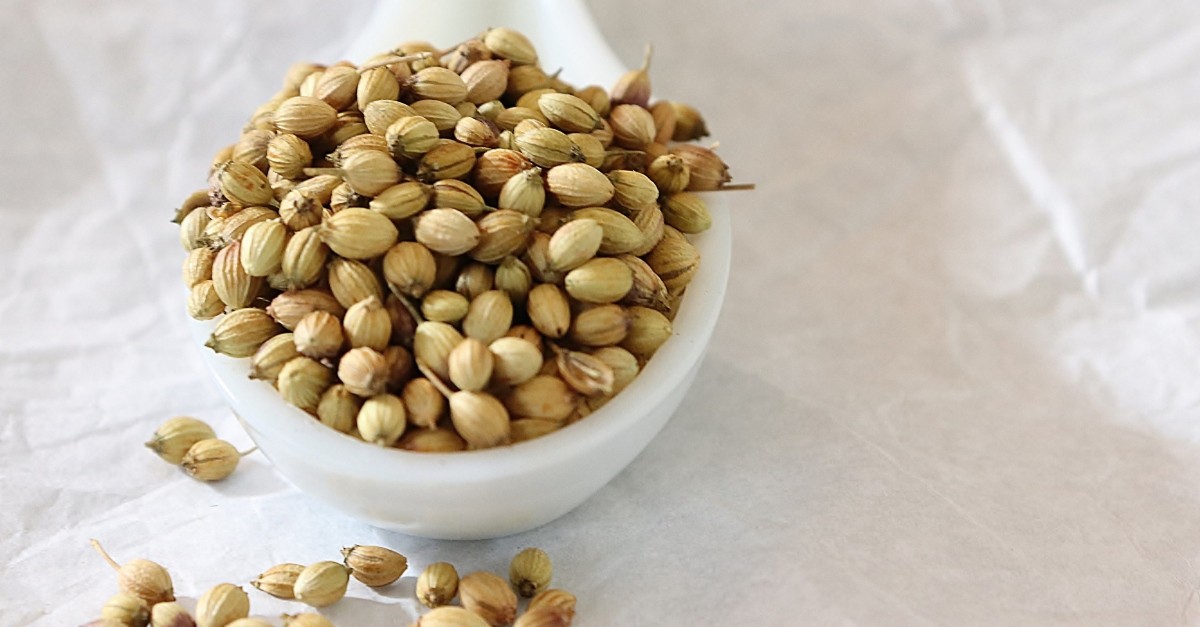 A dish of coriander seeds