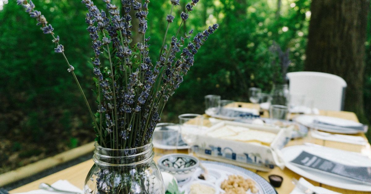 Should Christians Also Celebrate Passover?