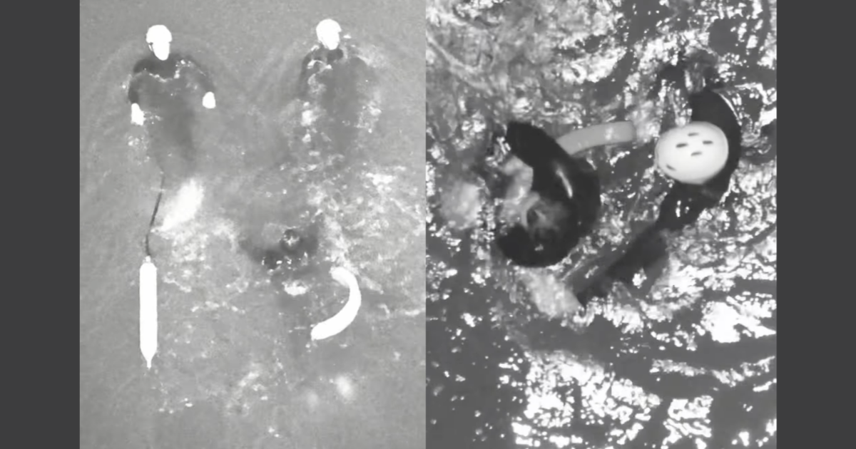 two friends in the ocean