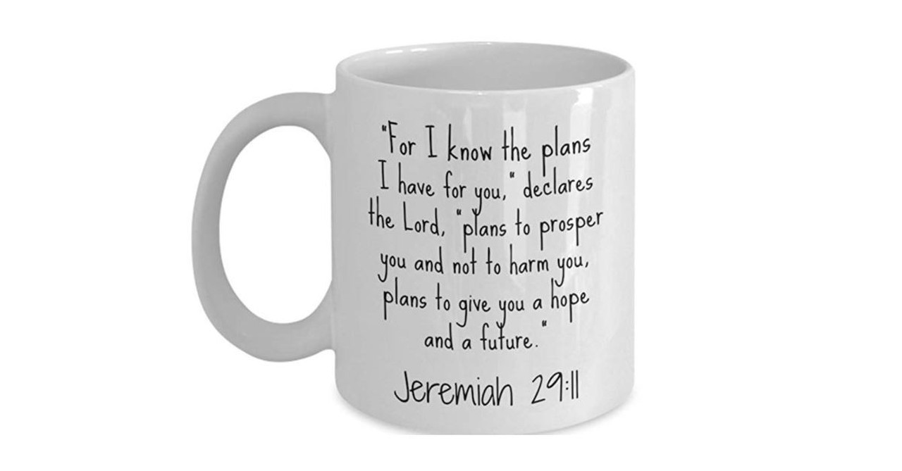 Jeremiah 29:11 Mug