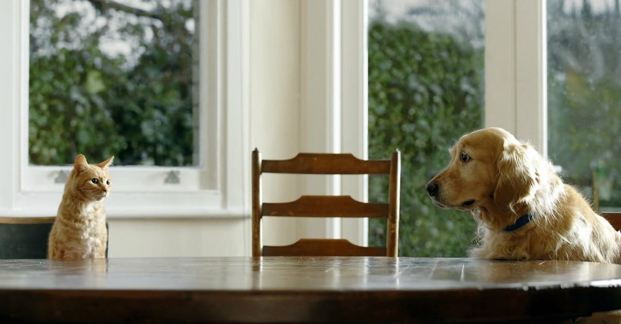 6. A Prayer for When Someone is Missed at the Table