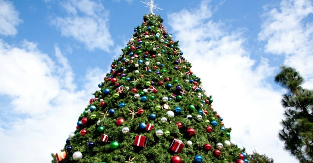 4. Visit your town's biggest Christmas tree