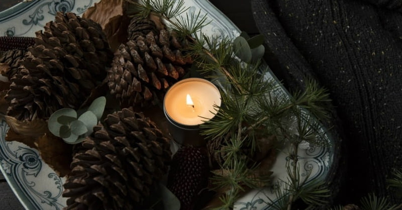 6. Collect pine cones and other objects to create winter decorations