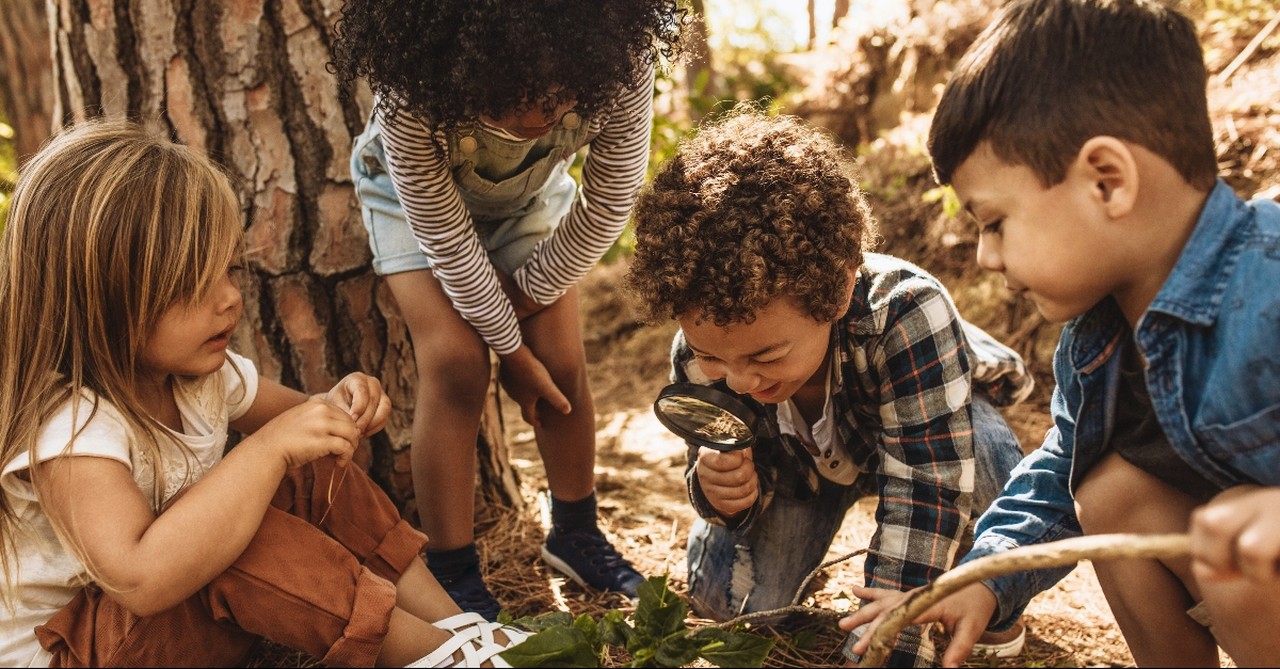 Kids exploring the forest