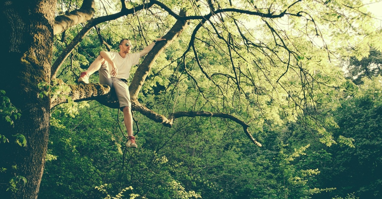 Man relaxing in a tree