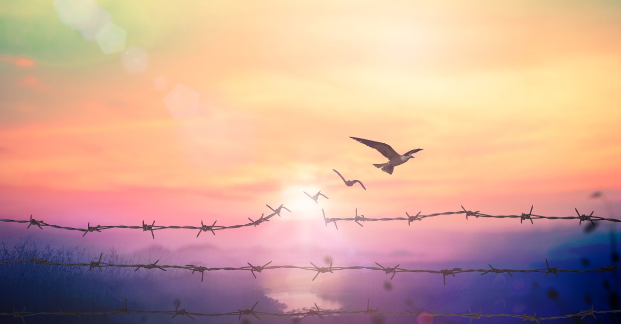 freedom redemption from a reprobate mind birds breaking through barbed wire